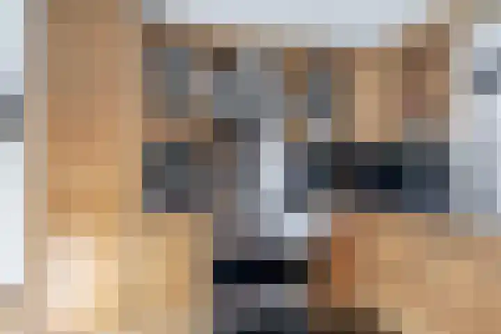 Bunshaftlijn 5 Zoetermeer thumbnail 14