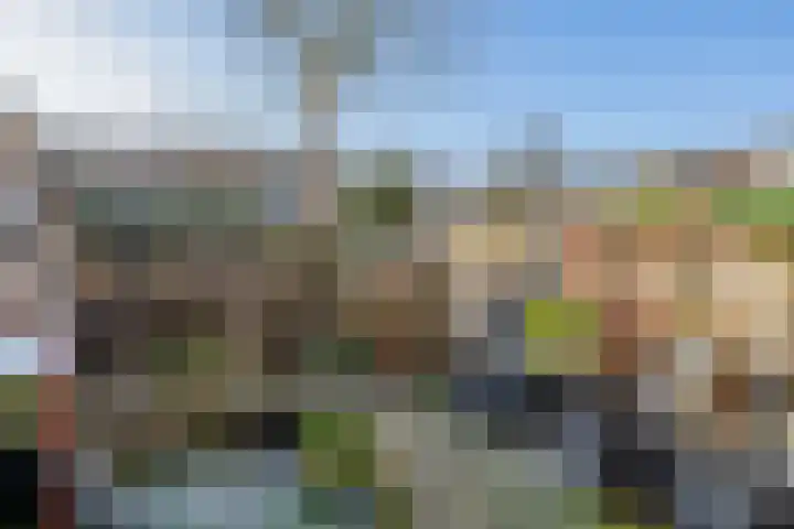 Bunshaftlijn 5 Zoetermeer thumbnail 17