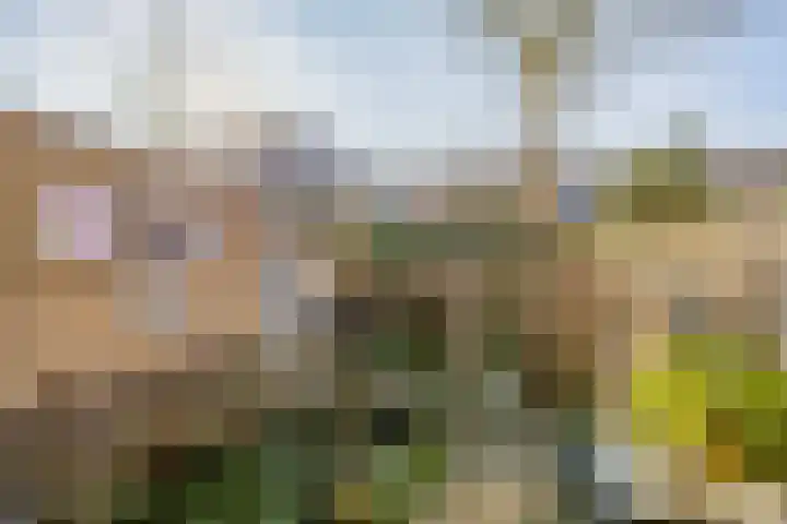 Bunshaftlijn 5 Zoetermeer thumbnail 18