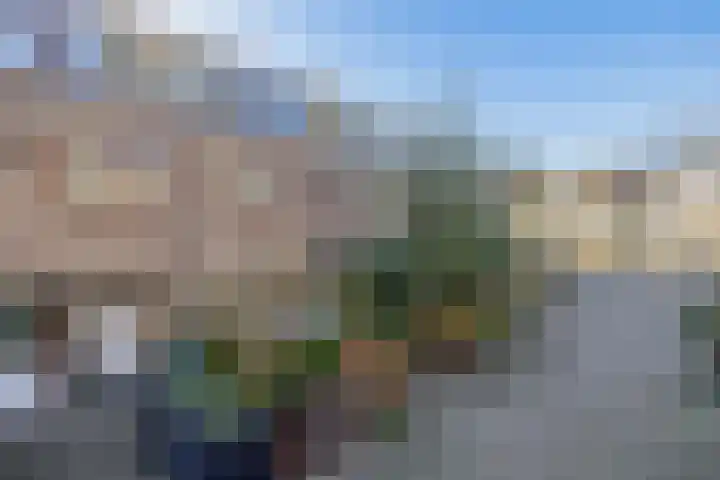 Bunshaftlijn 5 Zoetermeer thumbnail 4