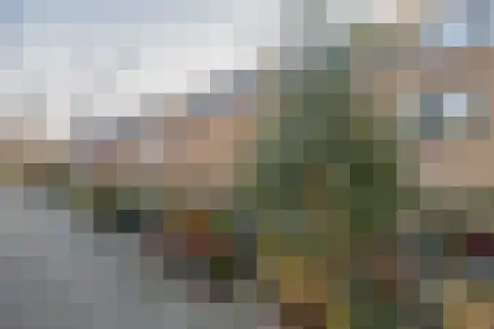 Bunshaftlijn 5 Zoetermeer thumbnail 6