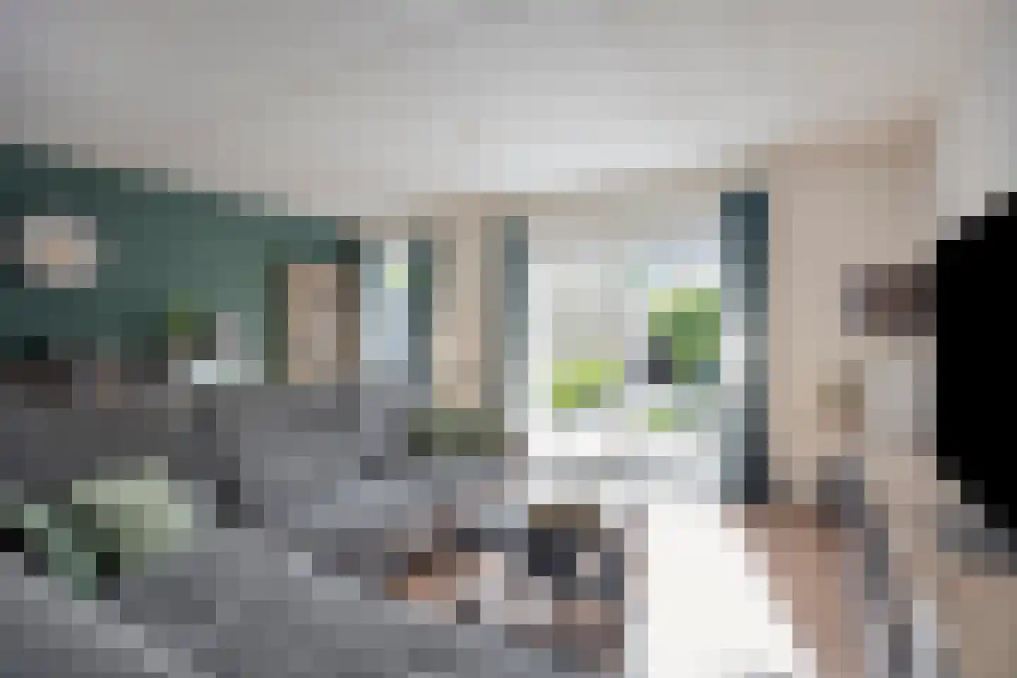 Bunshaftlijn 9 Zoetermeer thumbnail 10