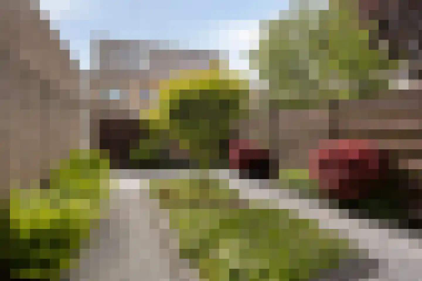 Bunshaftlijn 9 Zoetermeer thumbnail 12