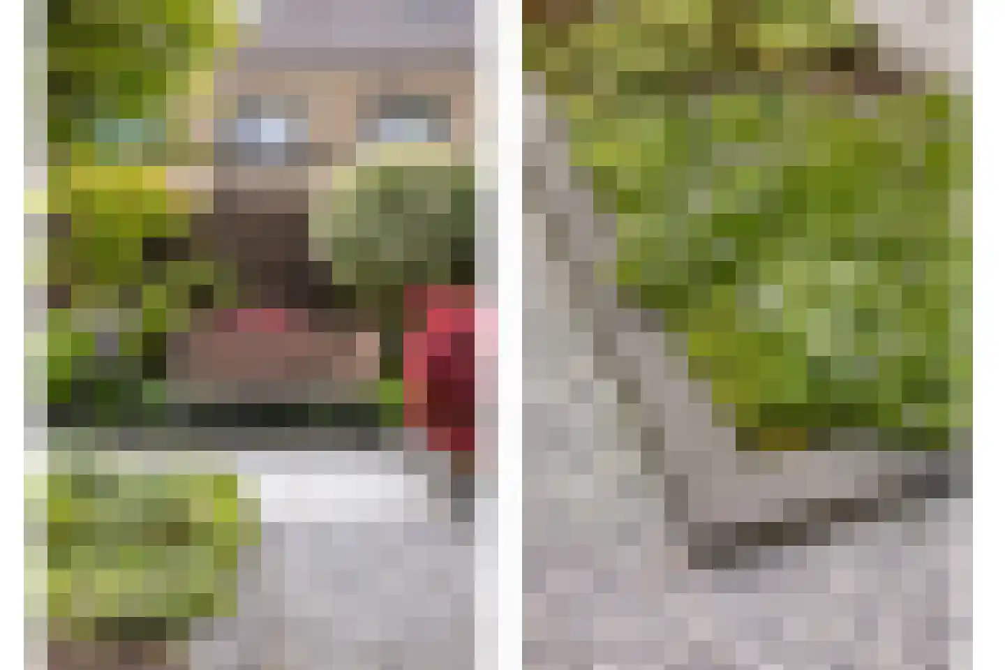 Bunshaftlijn 9 Zoetermeer thumbnail 14