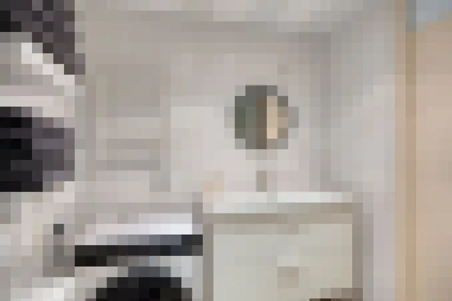 Bunshaftlijn 9 Zoetermeer thumbnail 33