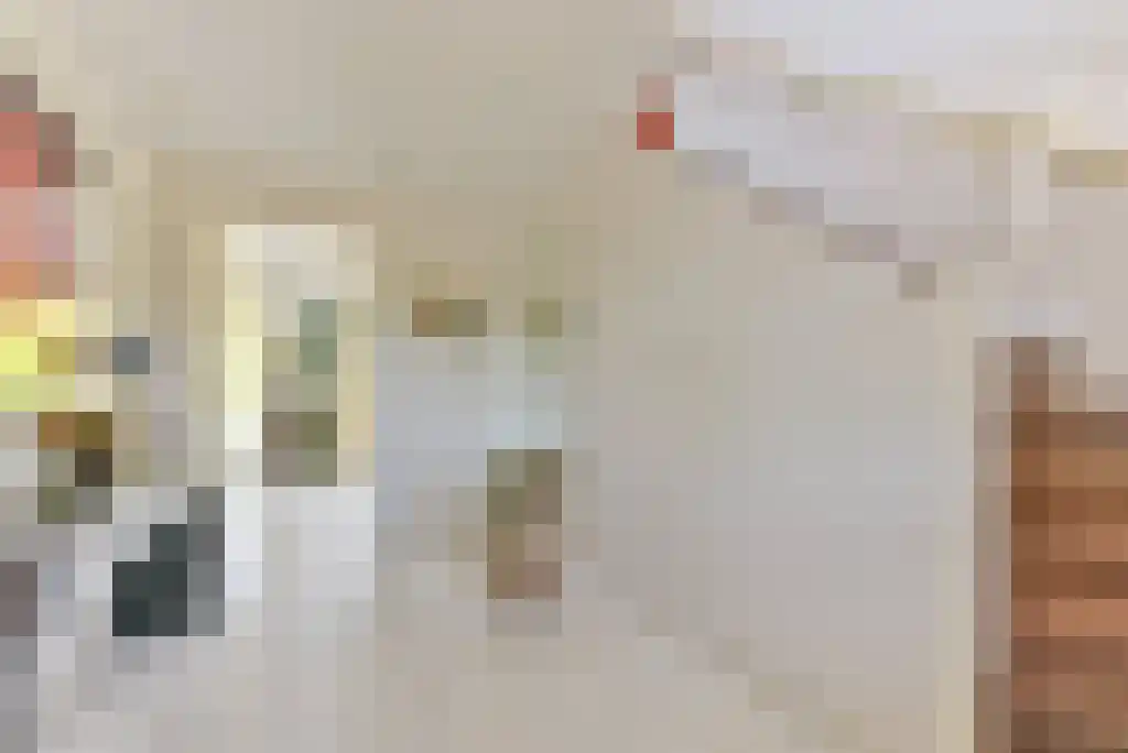 Bunsinglaan 1 A Zeist thumbnail 14