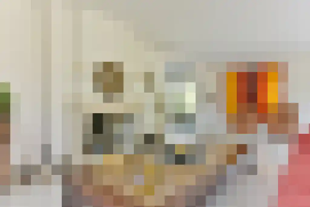 Bunsinglaan 1 A Zeist thumbnail 19