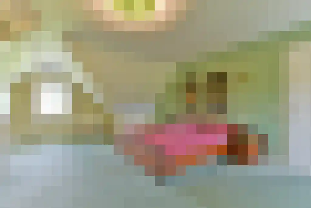 Bunsinglaan 1 A Zeist thumbnail 34