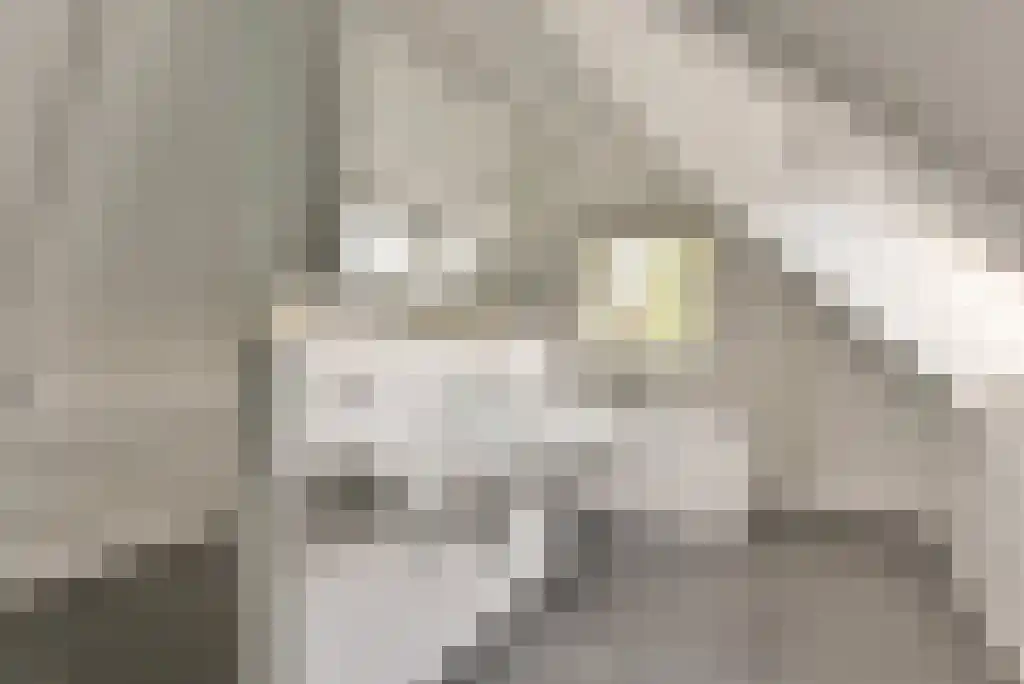 Bunsinglaan 1 A Zeist thumbnail 36