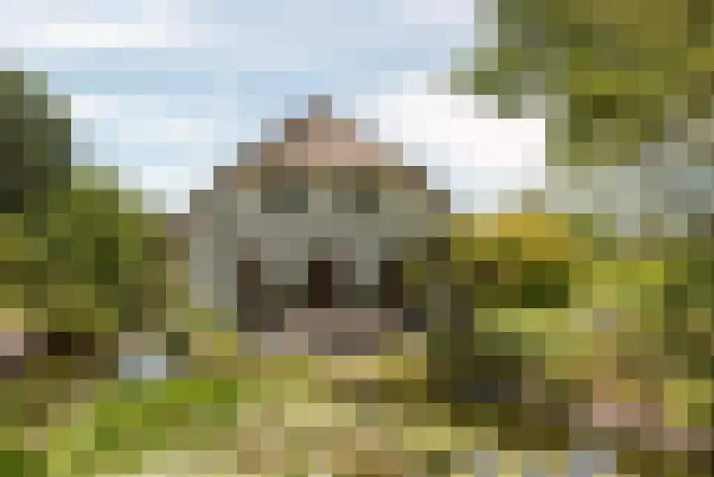 Bunsinglaan 1 A Zeist thumbnail 47