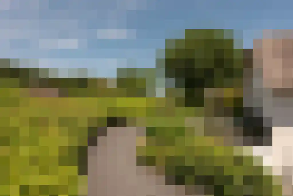 Bunsinglaan 1 A Zeist thumbnail 48
