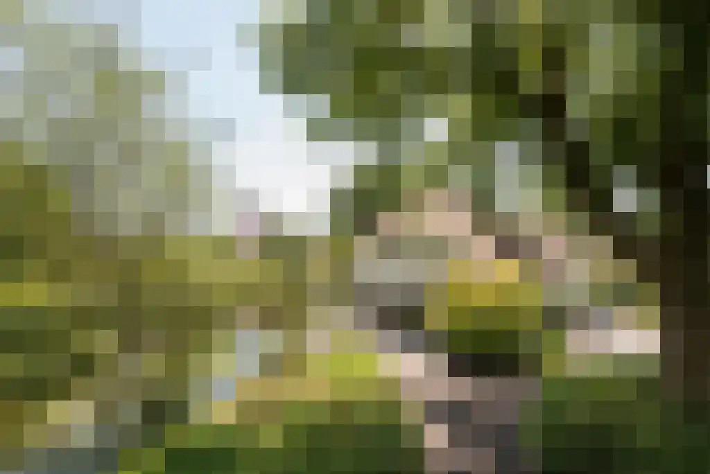 Bunsinglaan 1 A Zeist thumbnail 49