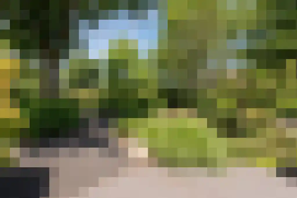 Bunsinglaan 1 A Zeist thumbnail 52
