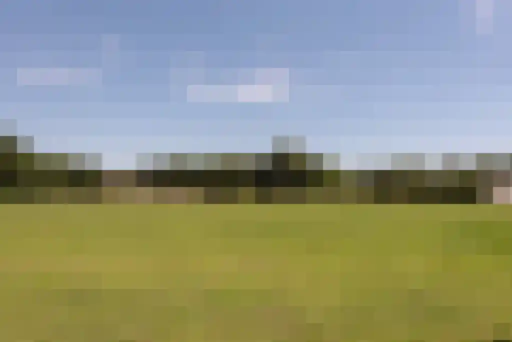 Bunsinglaan 1 A Zeist thumbnail 54