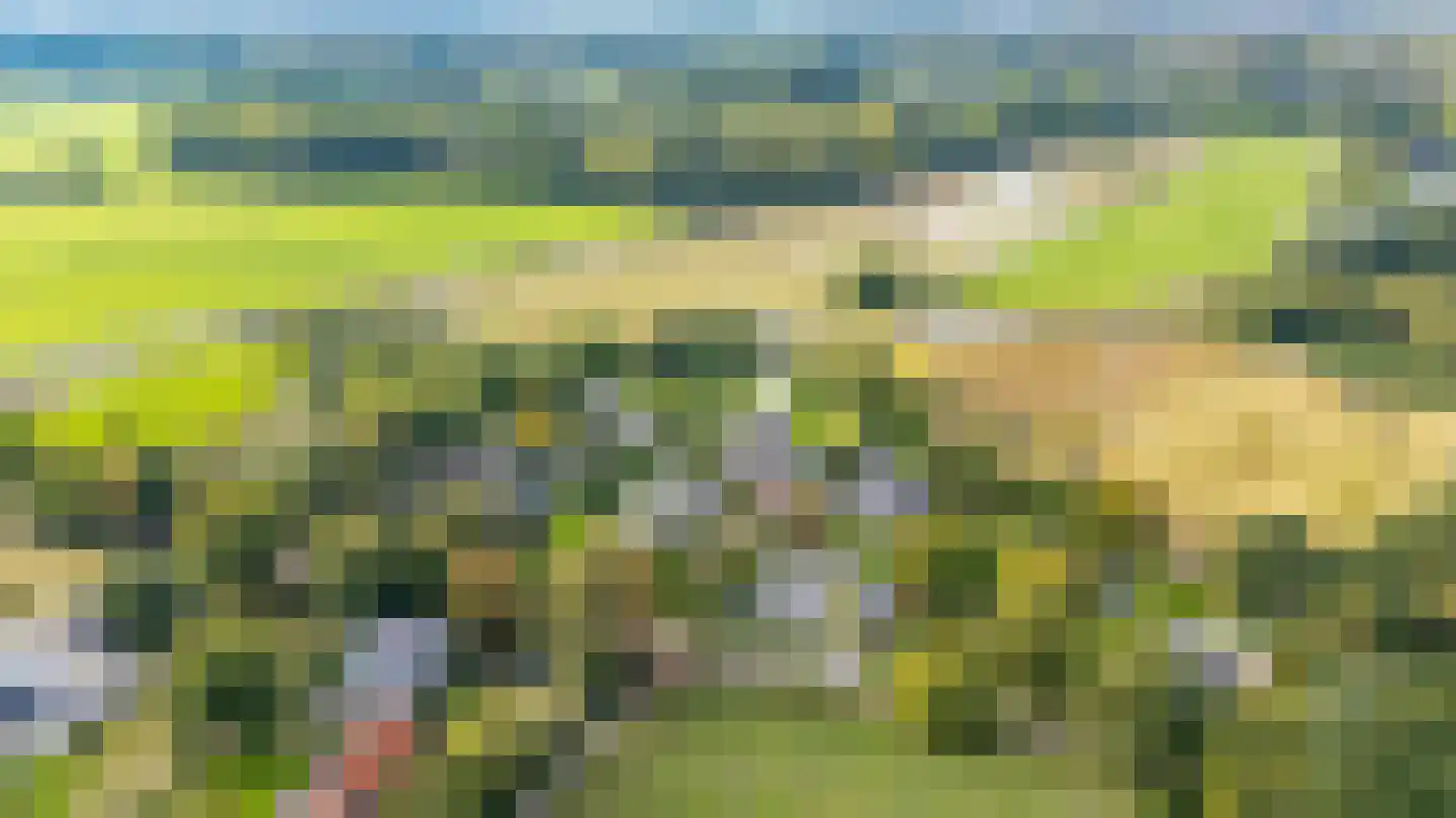 Bunsinglaan 1 A Zeist thumbnail 55