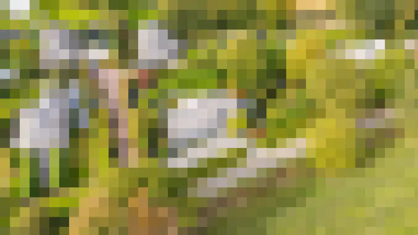 Bunsinglaan 1 A Zeist thumbnail 57