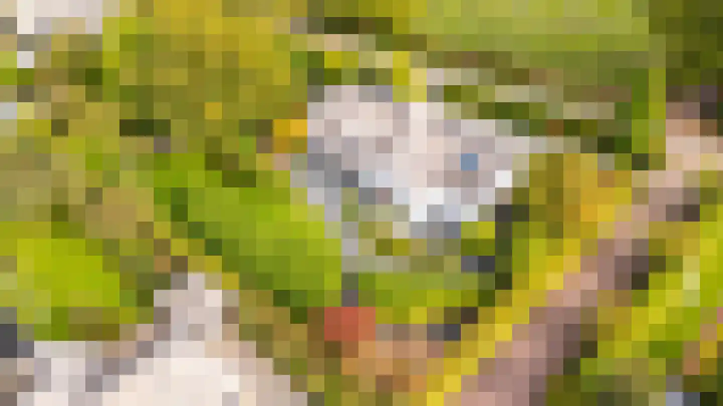 Bunsinglaan 1 A Zeist thumbnail 58