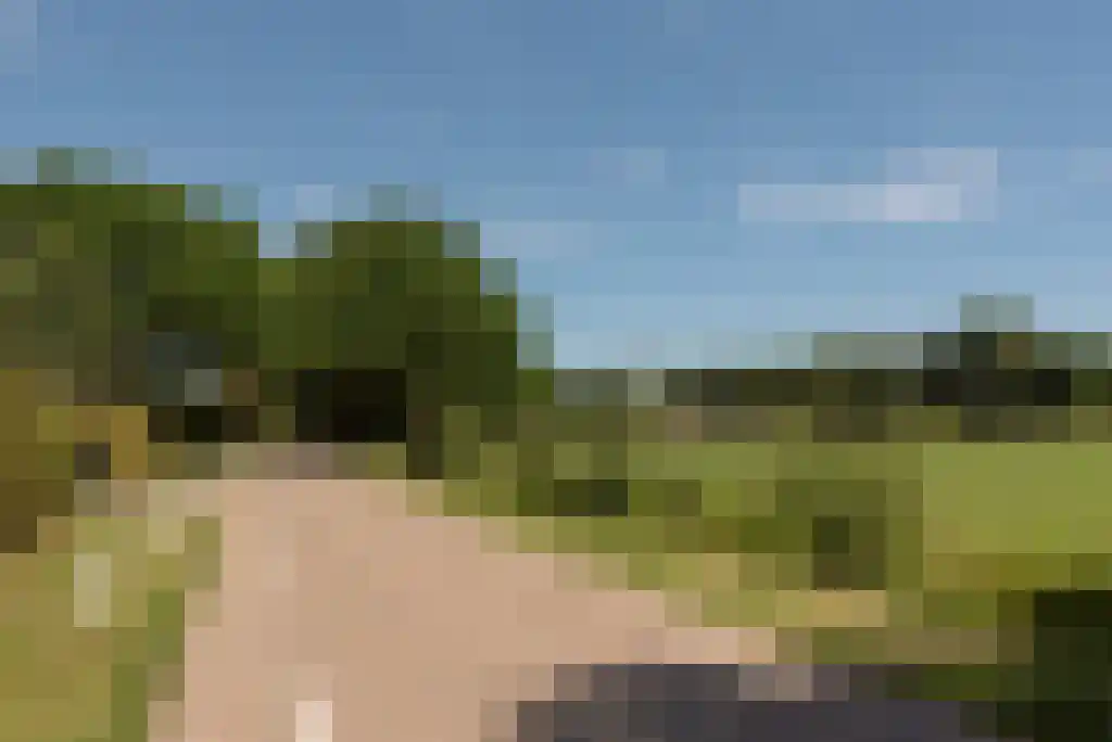 Bunsinglaan 1 A Zeist thumbnail 7