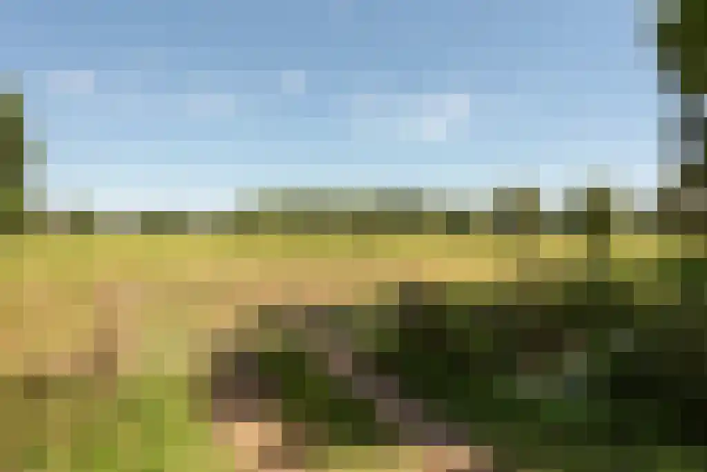 Bunsinglaan 1 A Zeist thumbnail 9