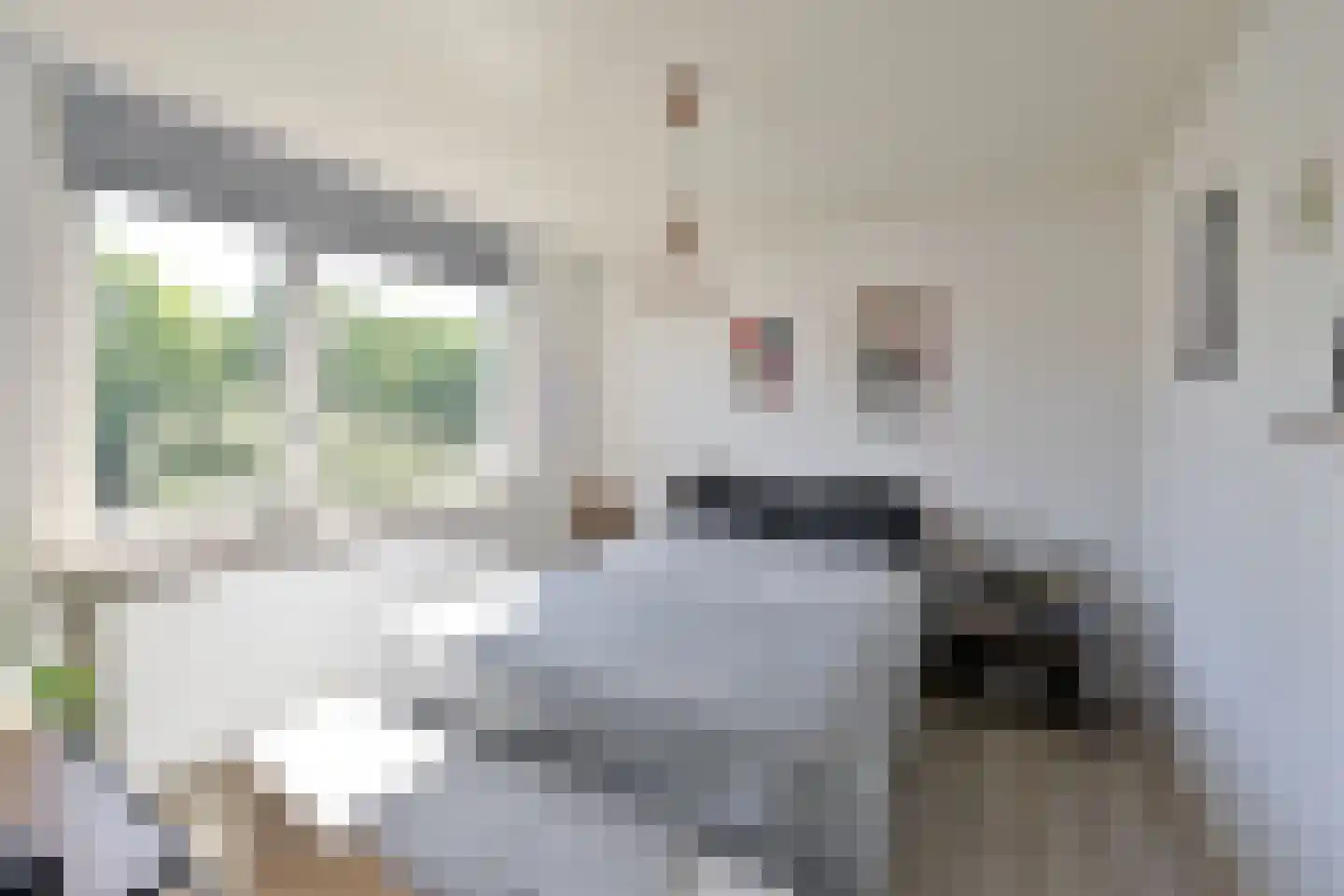 Bunt 10 Huizen thumbnail 10