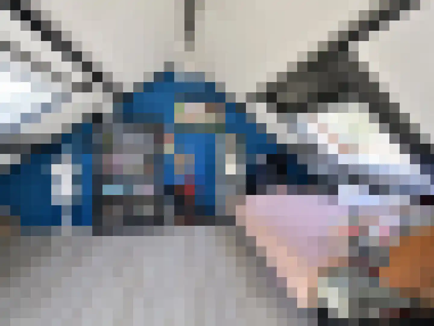 Bunt 10 Huizen thumbnail 12