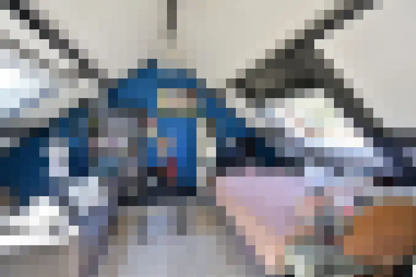 Bunt 10 Huizen thumbnail 12