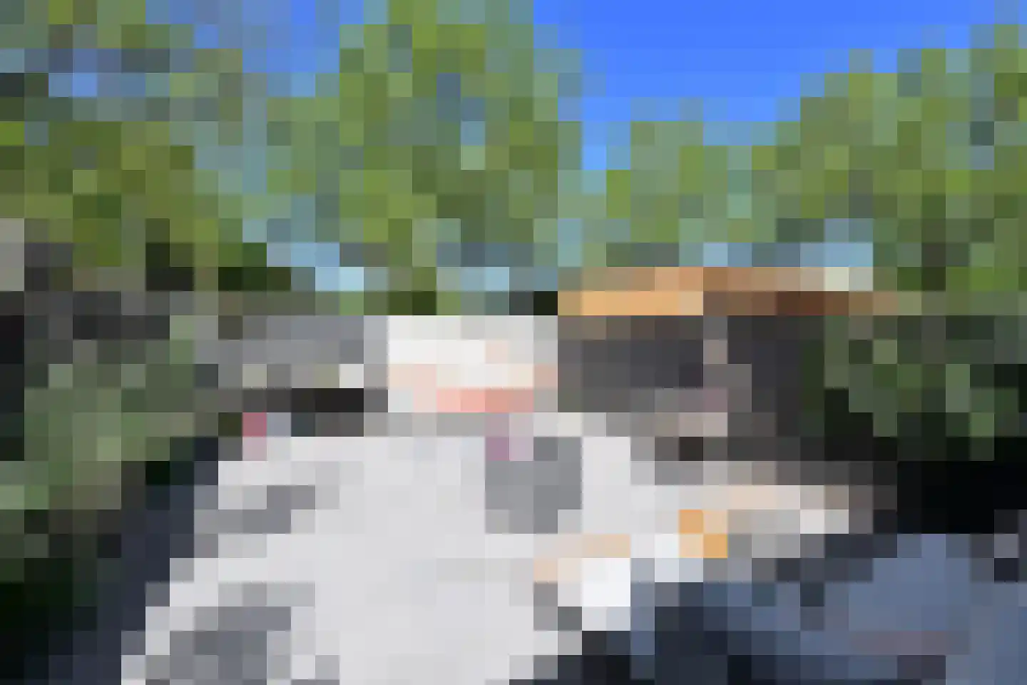 Bunt 10 Huizen thumbnail 15