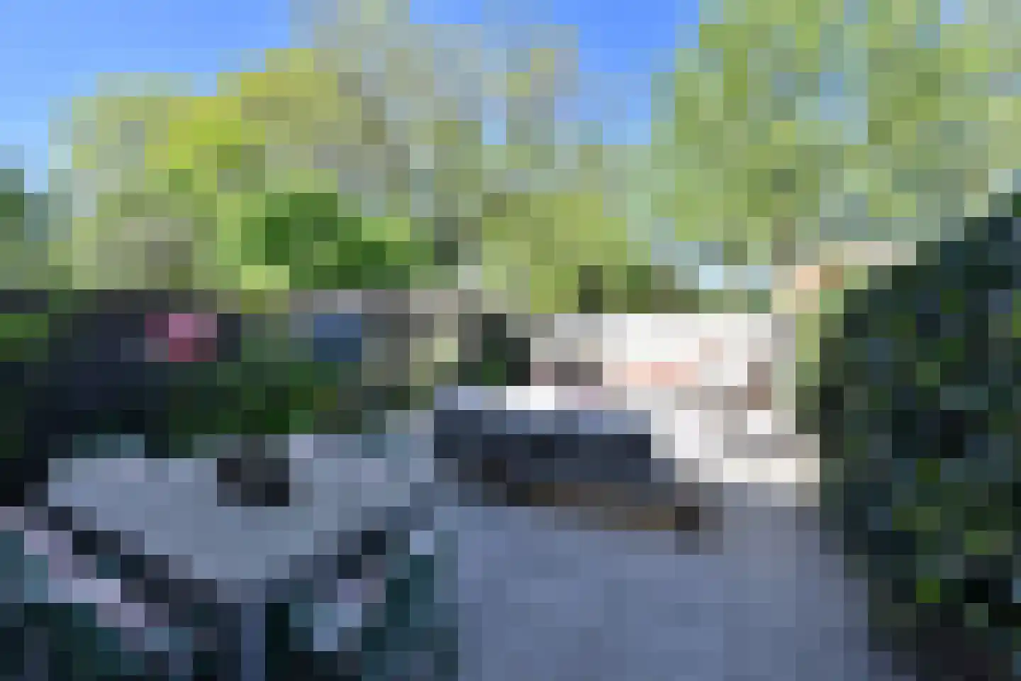 Bunt 10 Huizen thumbnail 16