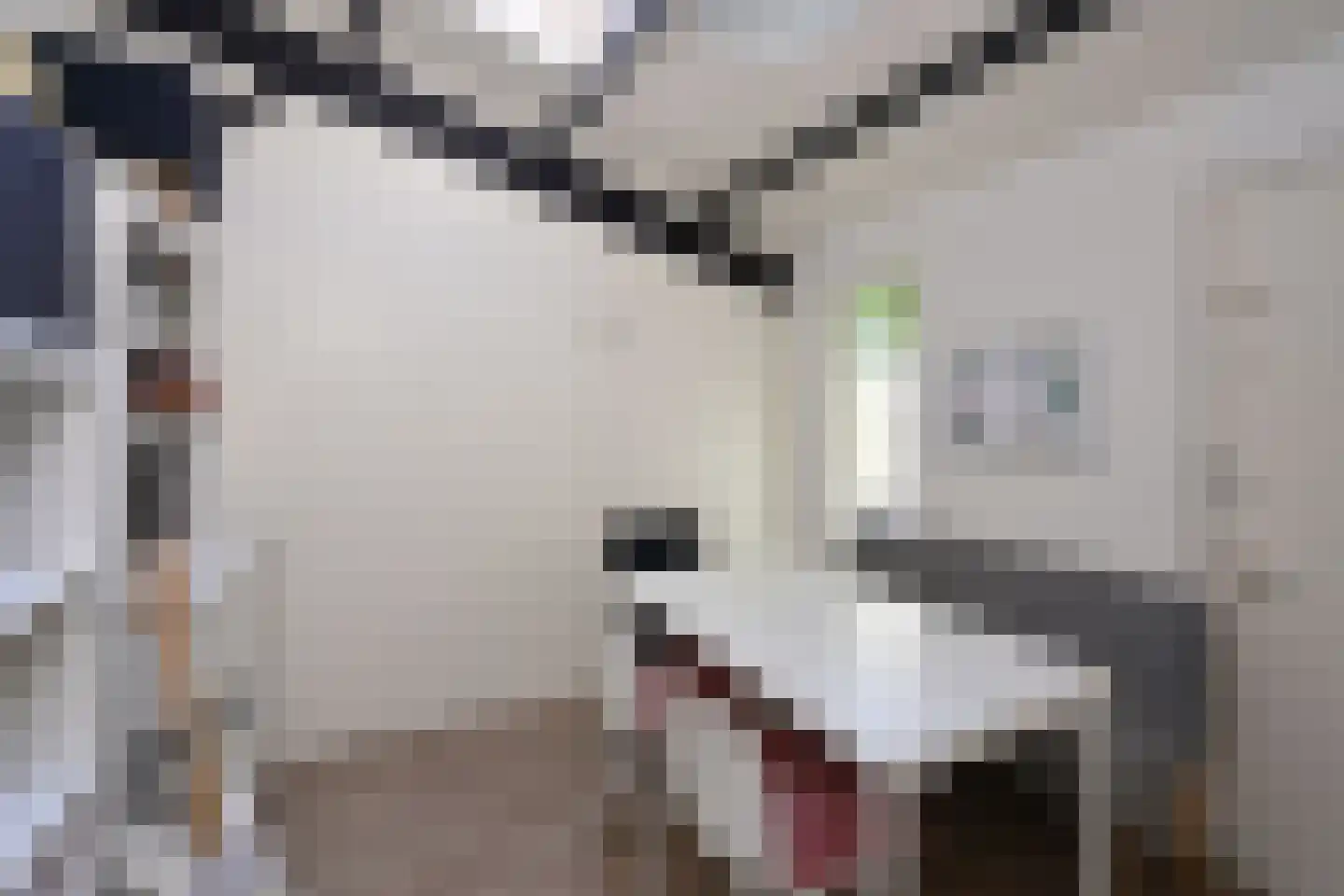 Bunt 10 Huizen thumbnail 7
