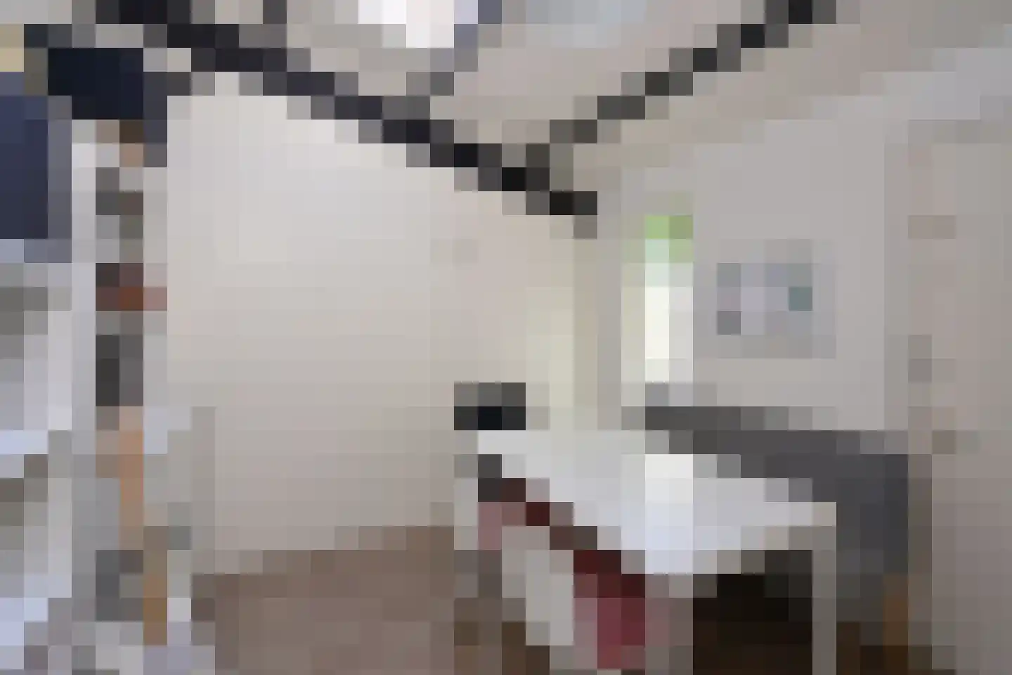 Bunt 10 Huizen thumbnail 7