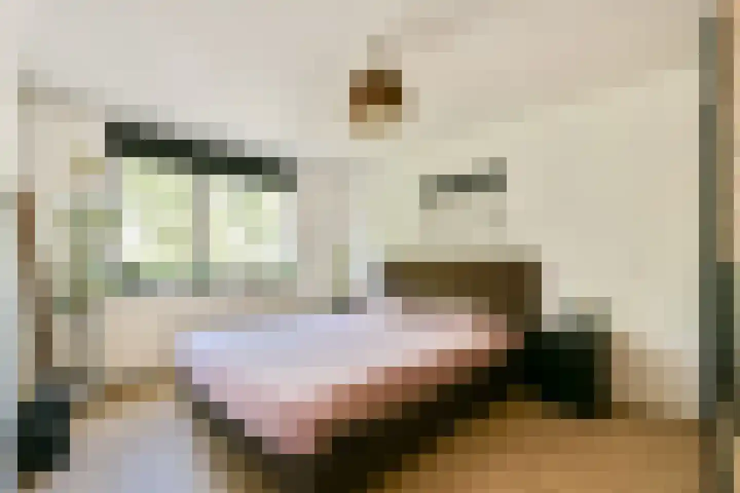 Bunt 12 Huizen thumbnail 15