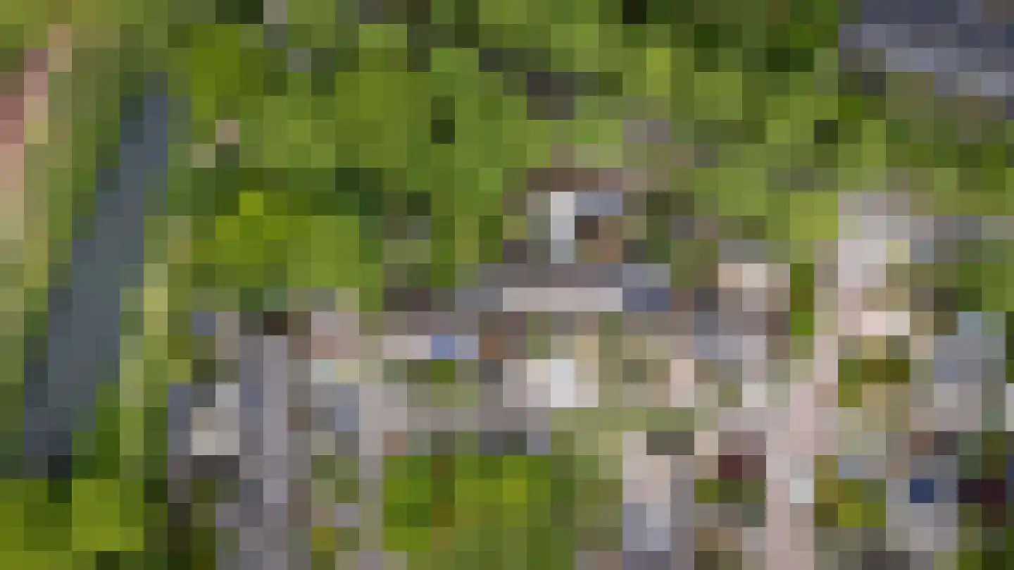 Bunt 12 Huizen thumbnail 27