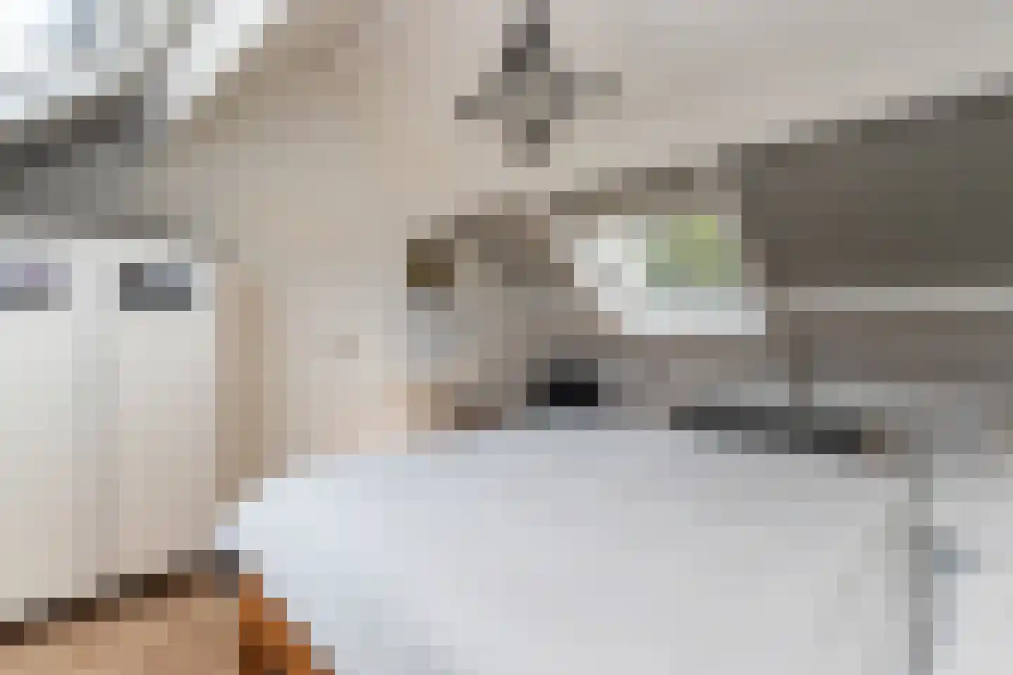 Bunt 28 Huizen thumbnail 17