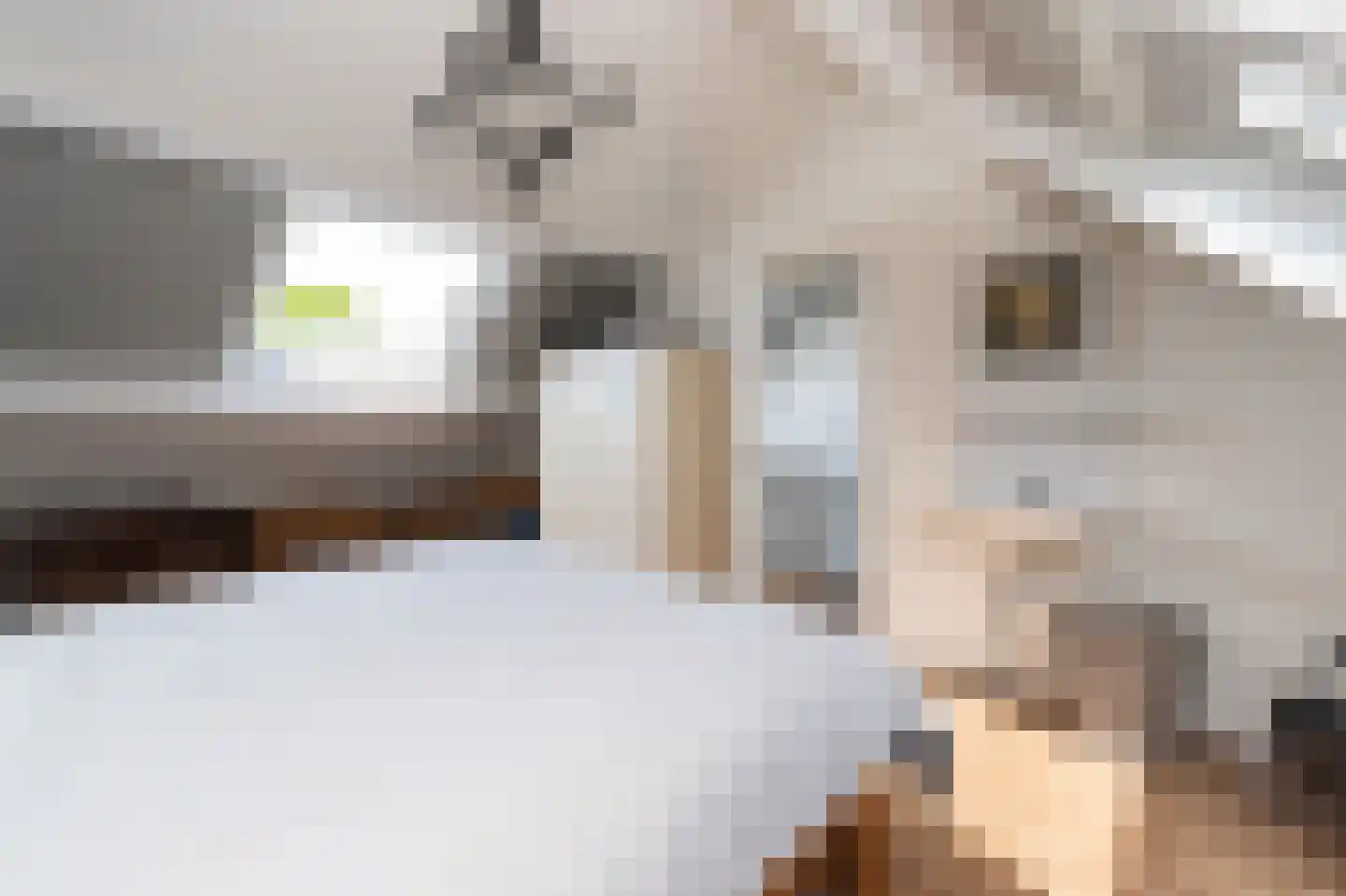 Bunt 28 Huizen thumbnail 18