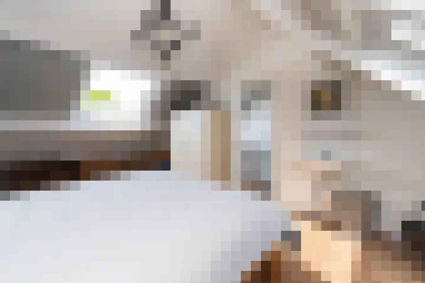 Bunt 28 Huizen thumbnail 18