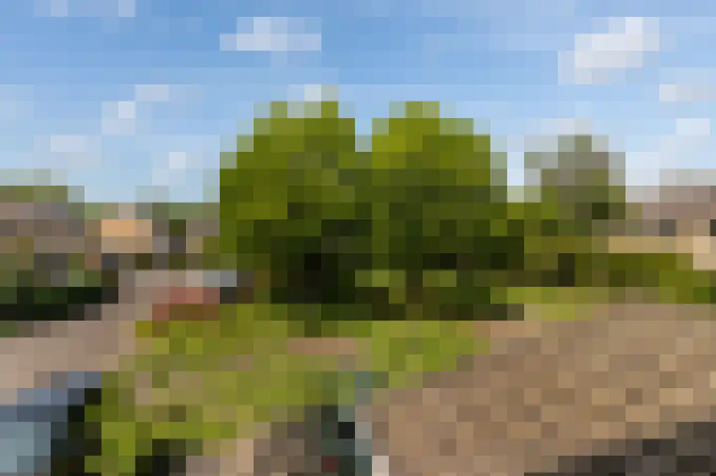 Bunt 28 Huizen thumbnail 19