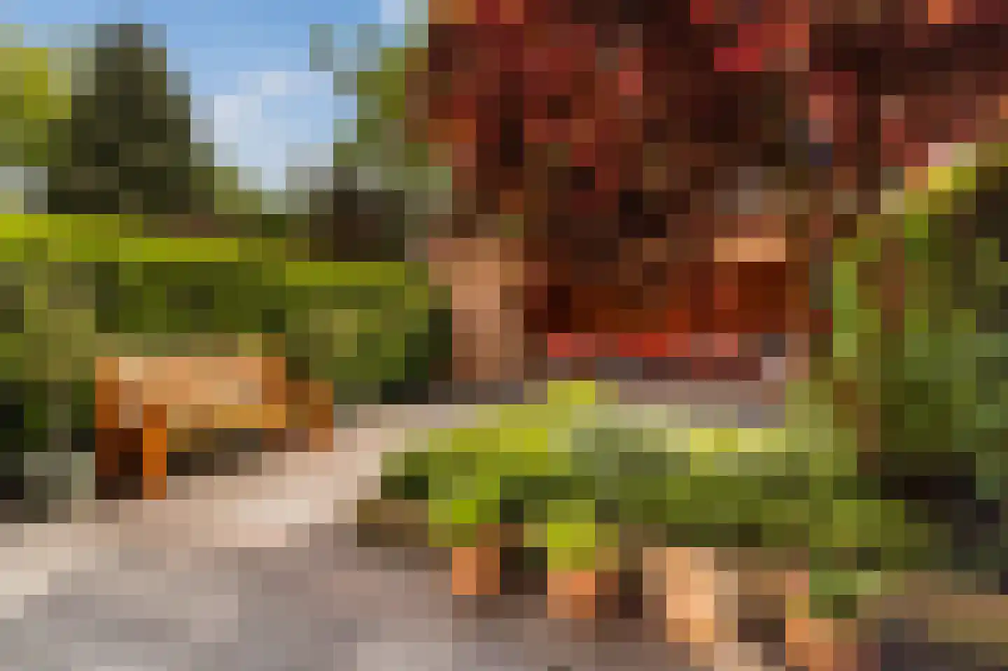 Bunt 28 Huizen thumbnail 21