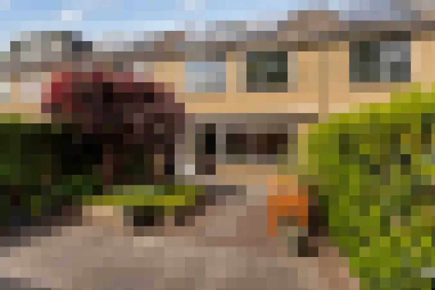 Bunt 28 Huizen thumbnail 24