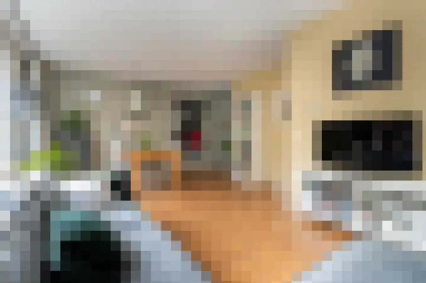 Bunt 28 Huizen thumbnail 4