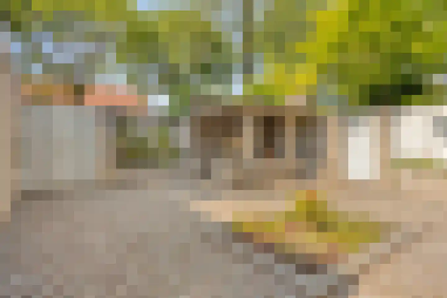 Buntbeek 3 Veldhoven thumbnail 22