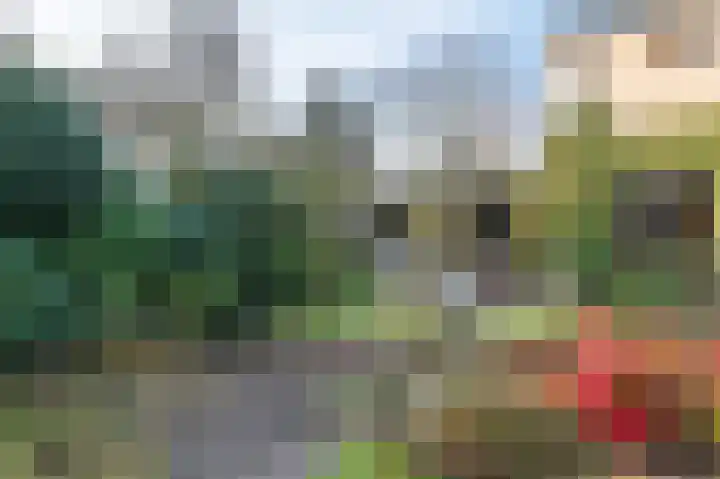 Buntbeek 31 Veldhoven thumbnail 29