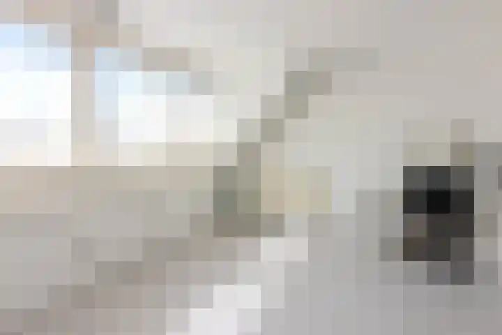 Buntgras 101 Spijkenisse thumbnail 20