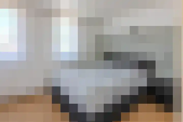 Buntgras 101 Spijkenisse thumbnail 21