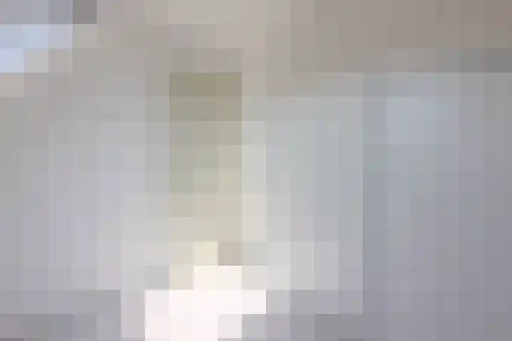 Buntgras 101 Spijkenisse thumbnail 28