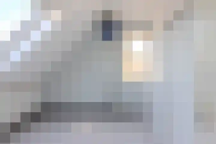 Buntgras 101 Spijkenisse thumbnail 29