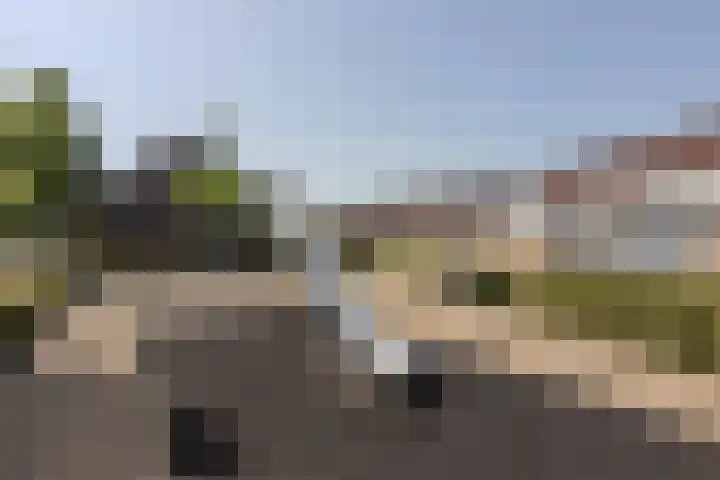 Buntgras 101 Spijkenisse thumbnail 32