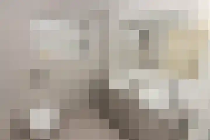Buntgras 101 Spijkenisse thumbnail 4