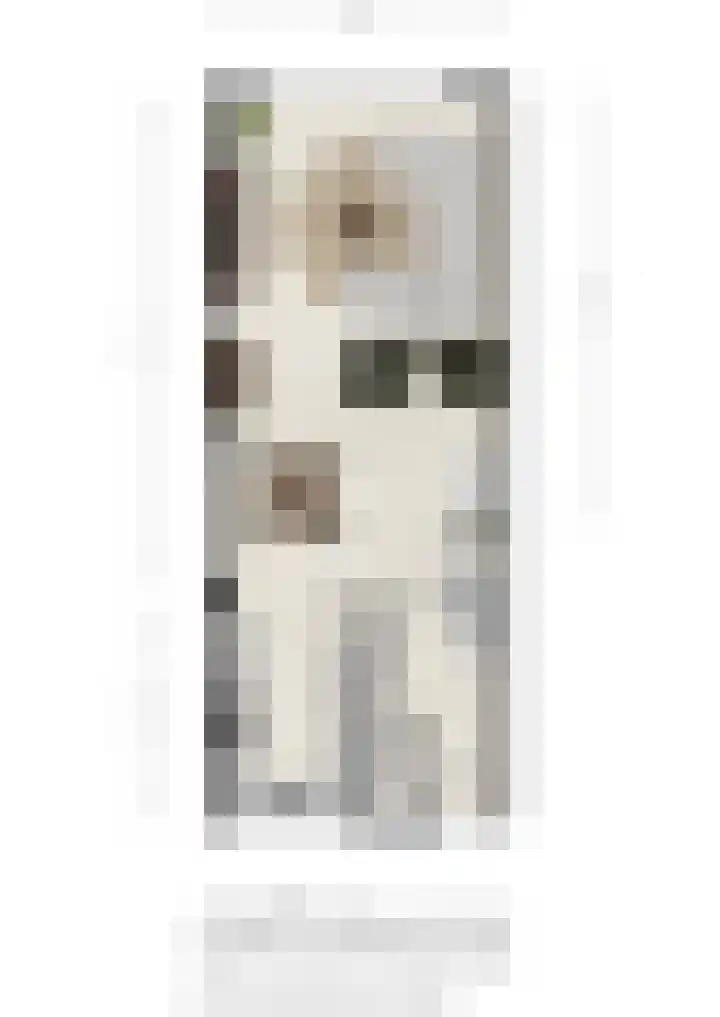 Buntgras 101 Spijkenisse thumbnail 7