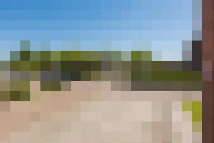 Buntgras 11 Jubbega thumbnail 17
