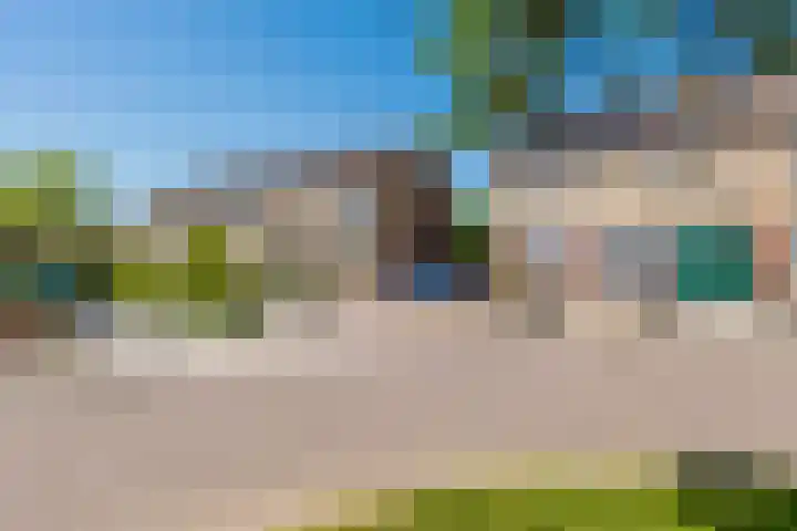 Buntgras 11 Jubbega thumbnail 18